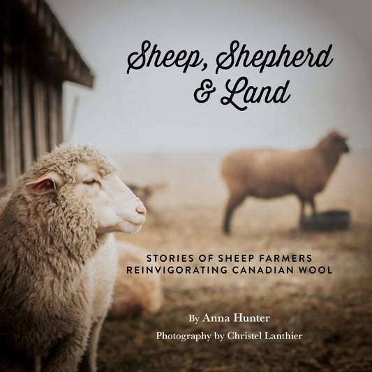 Sheep, Shepherd & Land, by Anna Hunter