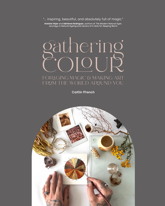 Gathering Colour, by Caitlin ffrench