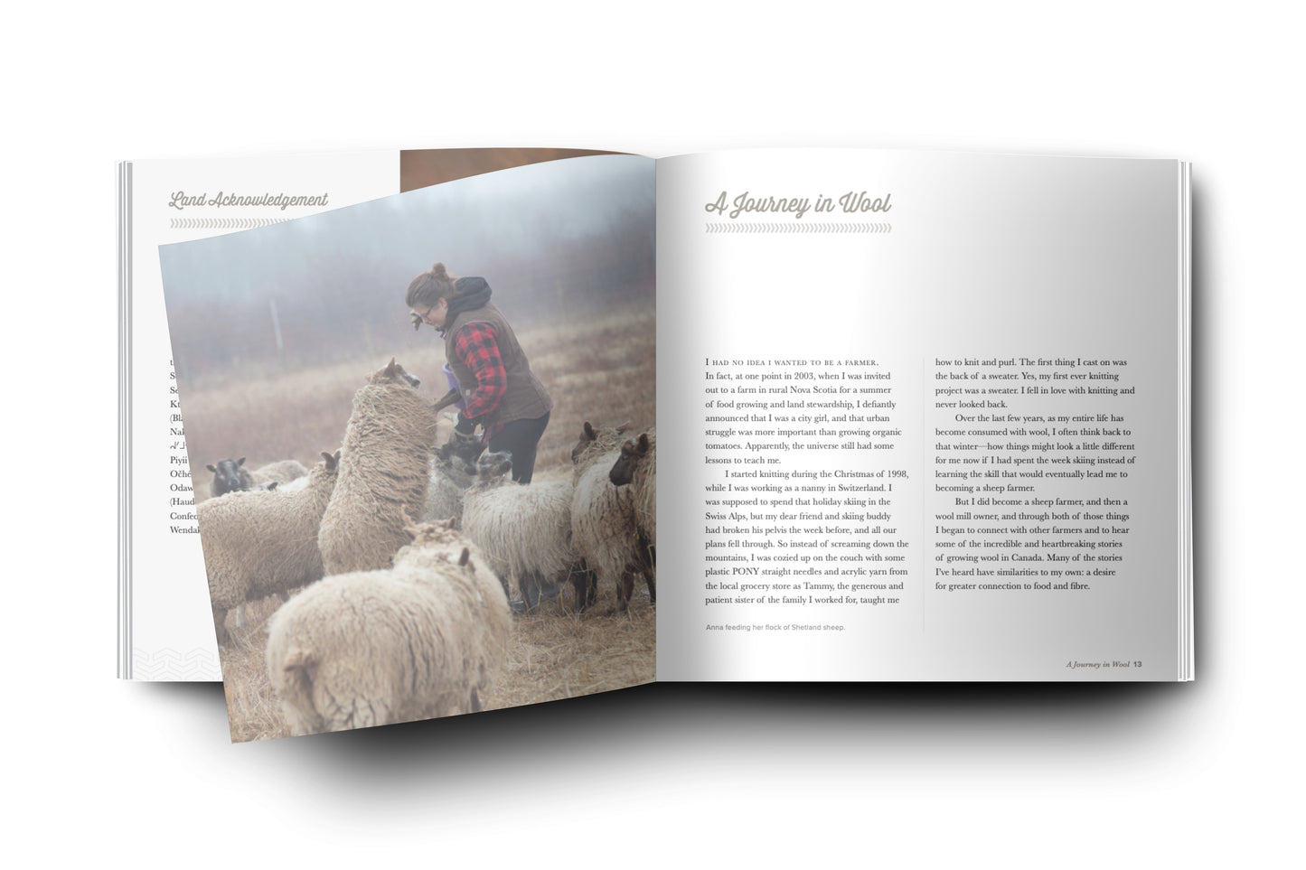 Sheep, Shepherd & Land, by Anna Hunter